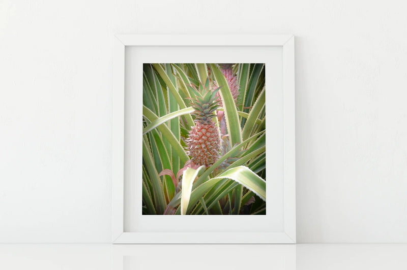 Butterfly in the Wind Home Hello Pineapple Art Print (5 x 7) sungkyulgapa